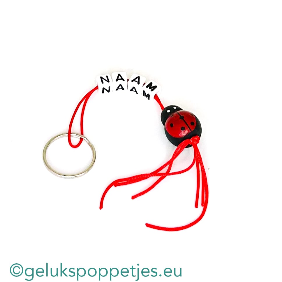 Name keychain with lucky ladybug