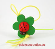 Gelukspoppetje lieveheersbeestje op blad
